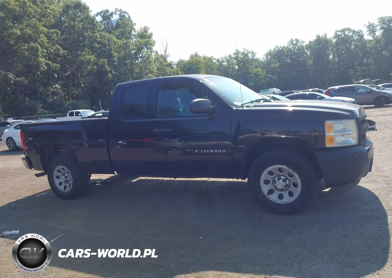2010 Chevrolet Silverado 1500 Work Truck VIN:1GCSCPEX9AZ123436 - 13