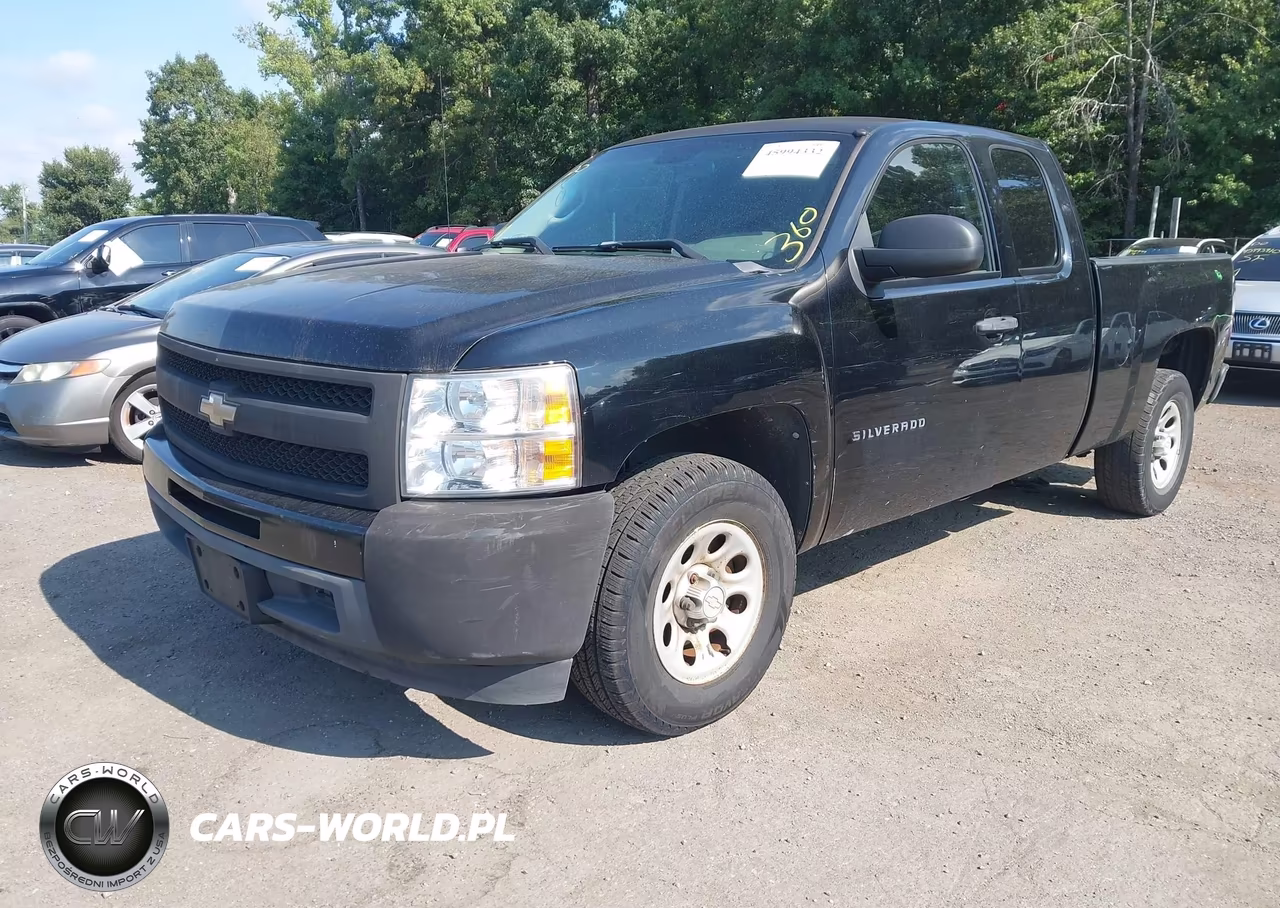 2010 Chevrolet Silverado 1500 Work Truck VIN:1GCSCPEX9AZ123436 - 2
