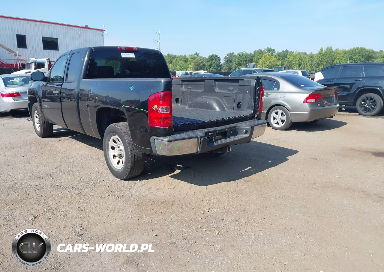 2010 Chevrolet Silverado 1500 Work Truck VIN:1GCSCPEX9AZ123436 - 3
