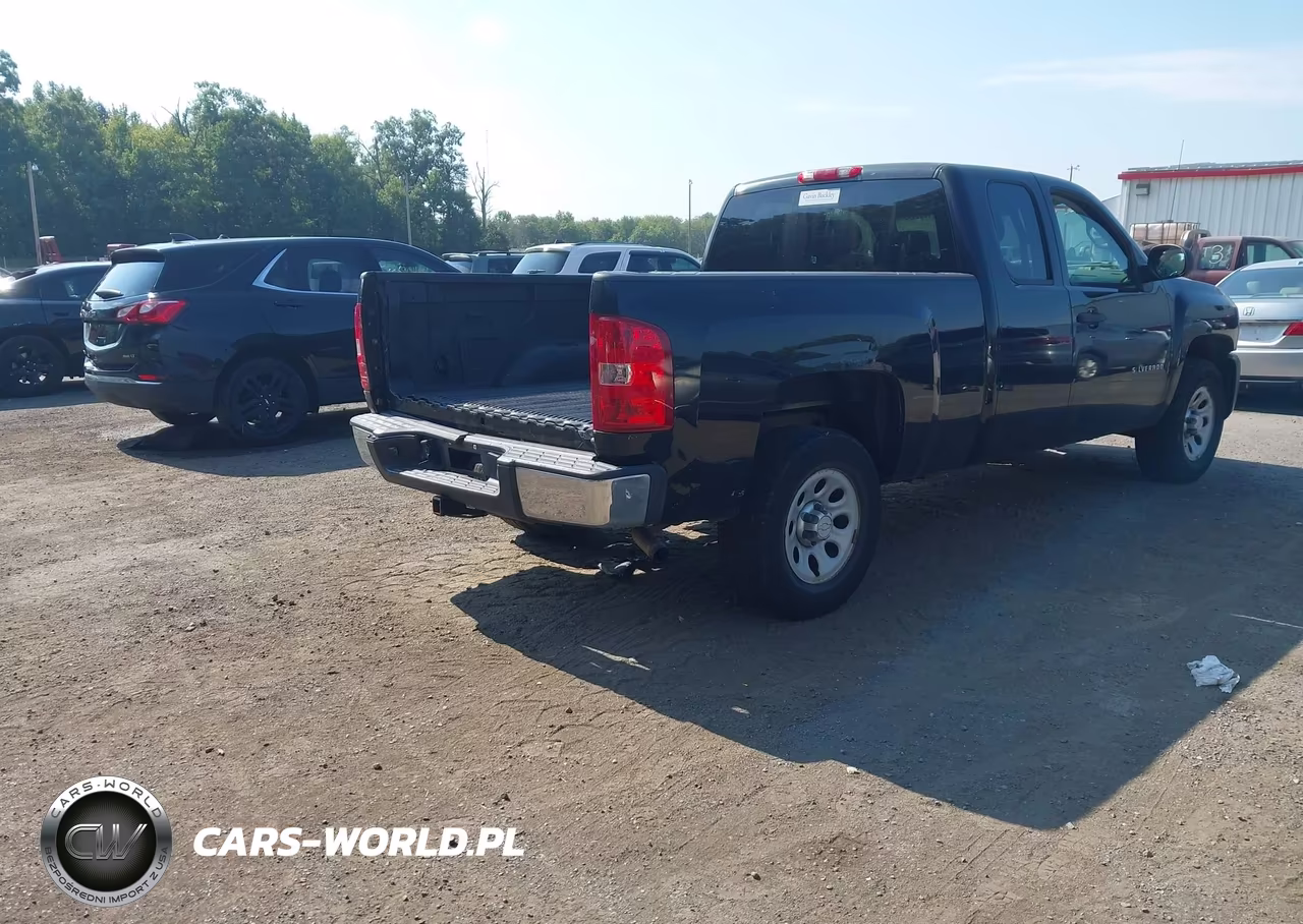2010 Chevrolet Silverado 1500 Work Truck VIN:1GCSCPEX9AZ123436 - 4