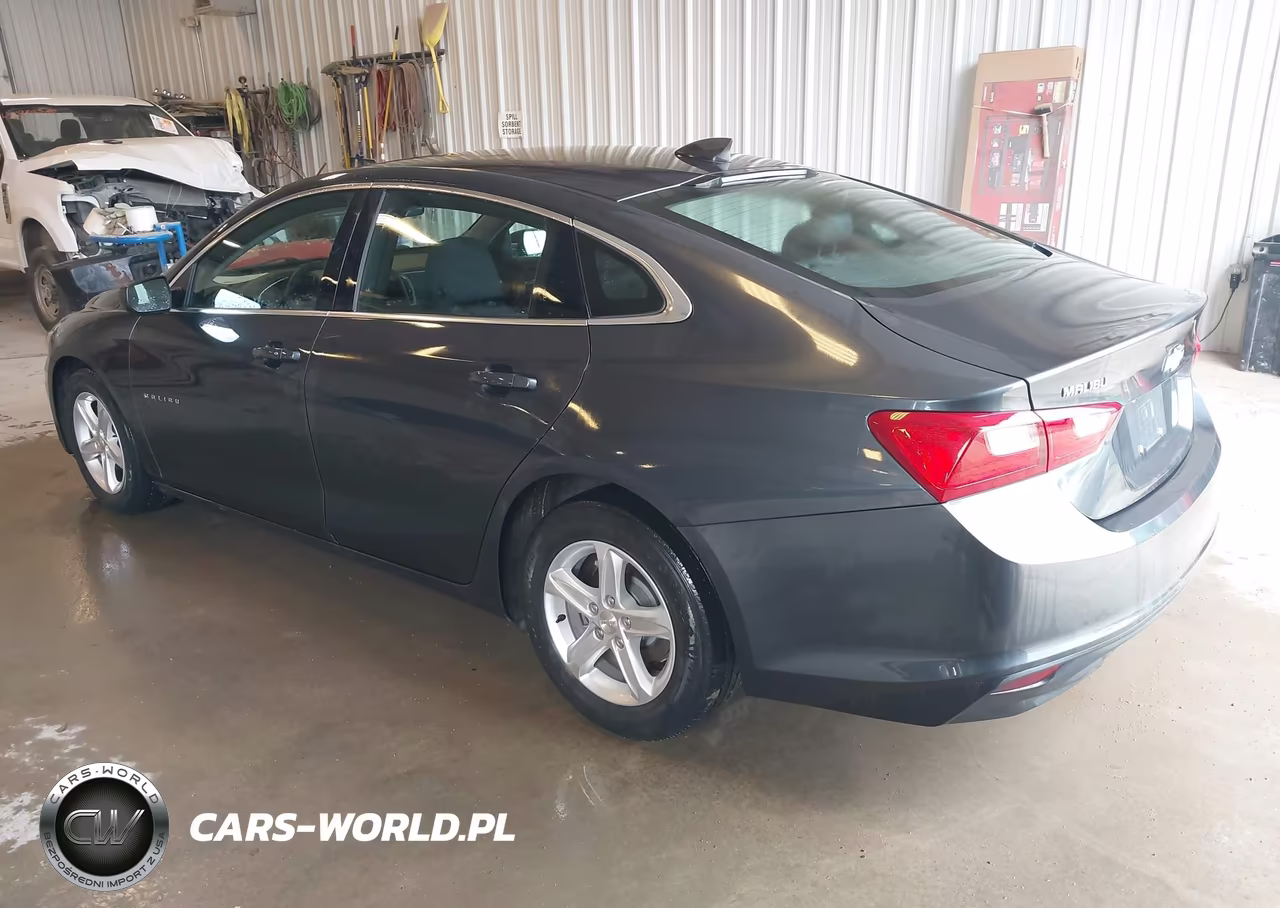 2020 Chevrolet Malibu Fwd 1Fl VIN:1G1ZC5STXLF137346 - 3