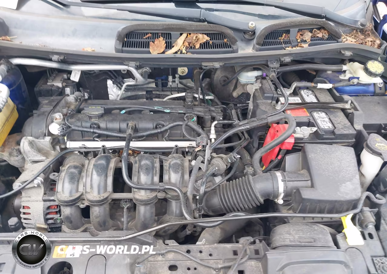 2014 Ford Fiesta Se VIN:3FADP4BJXEM130825 - 10
