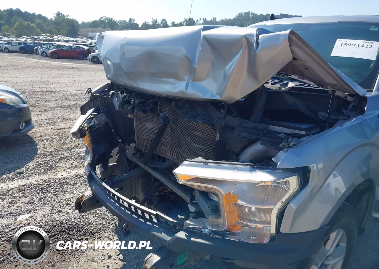 2020 Ford F-150 Xl VIN:1FTNF1C52LKE48329 - 6