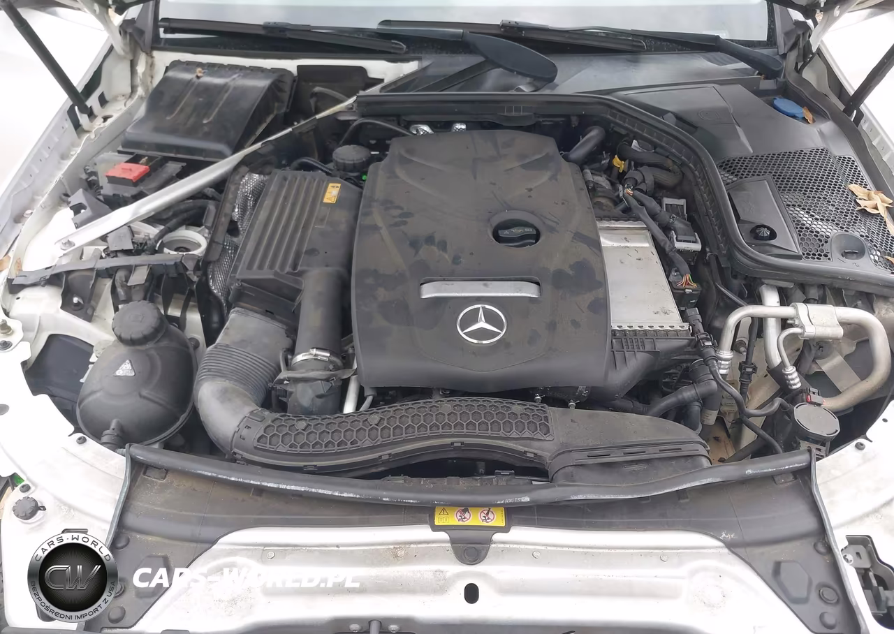 2017 Mercedes-Benz C 300 VIN:55SWF4JB5HU192964 - 10