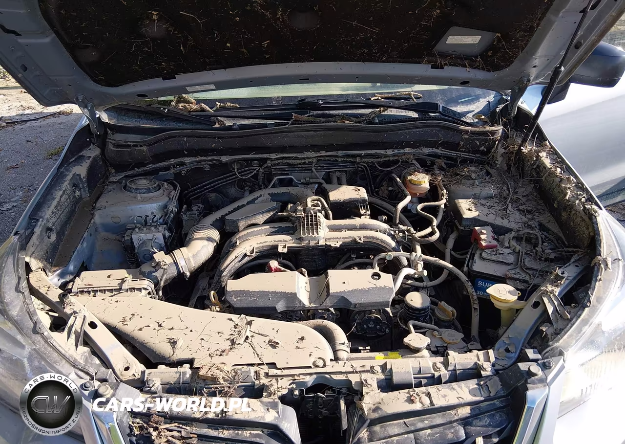 2017 Subaru Forester 2.5I VIN:JF2SJABC3HH423947 - 10