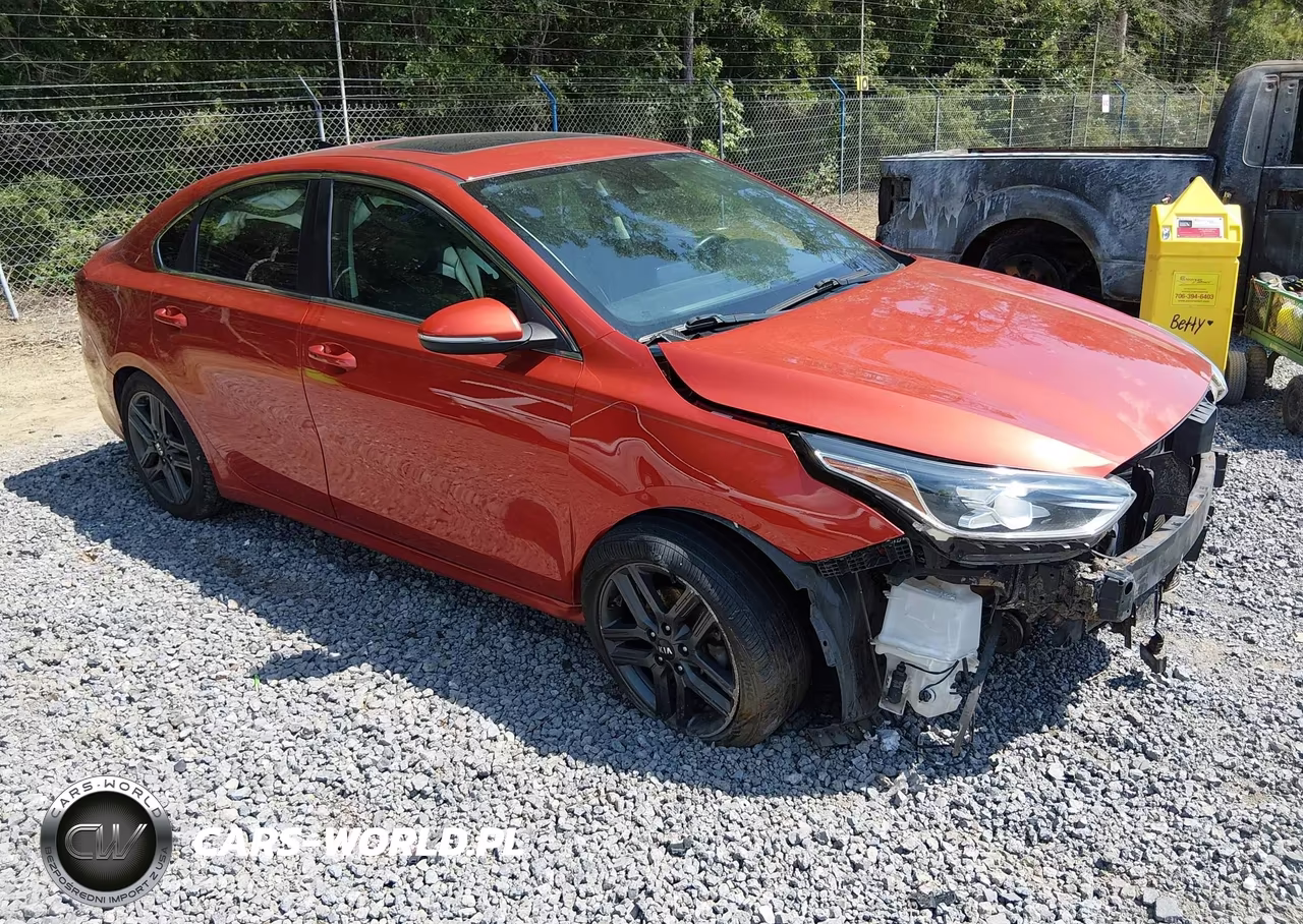2019 Kia Forte Ex – zdjęcie 1 z 17