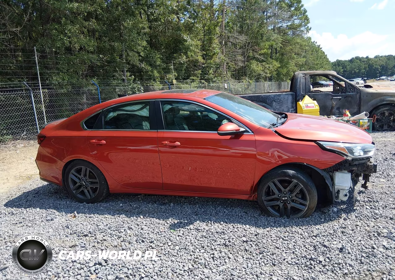 2019 Kia Forte Ex VIN:3KPF54AD8KE085698 - 14