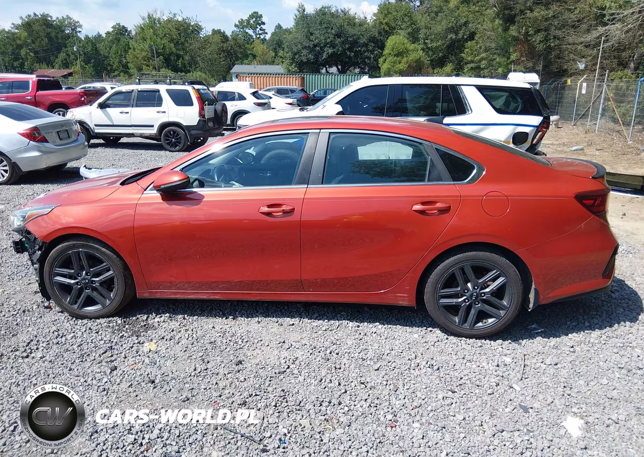 2019 Kia Forte Ex VIN:3KPF54AD8KE085698 - 15
