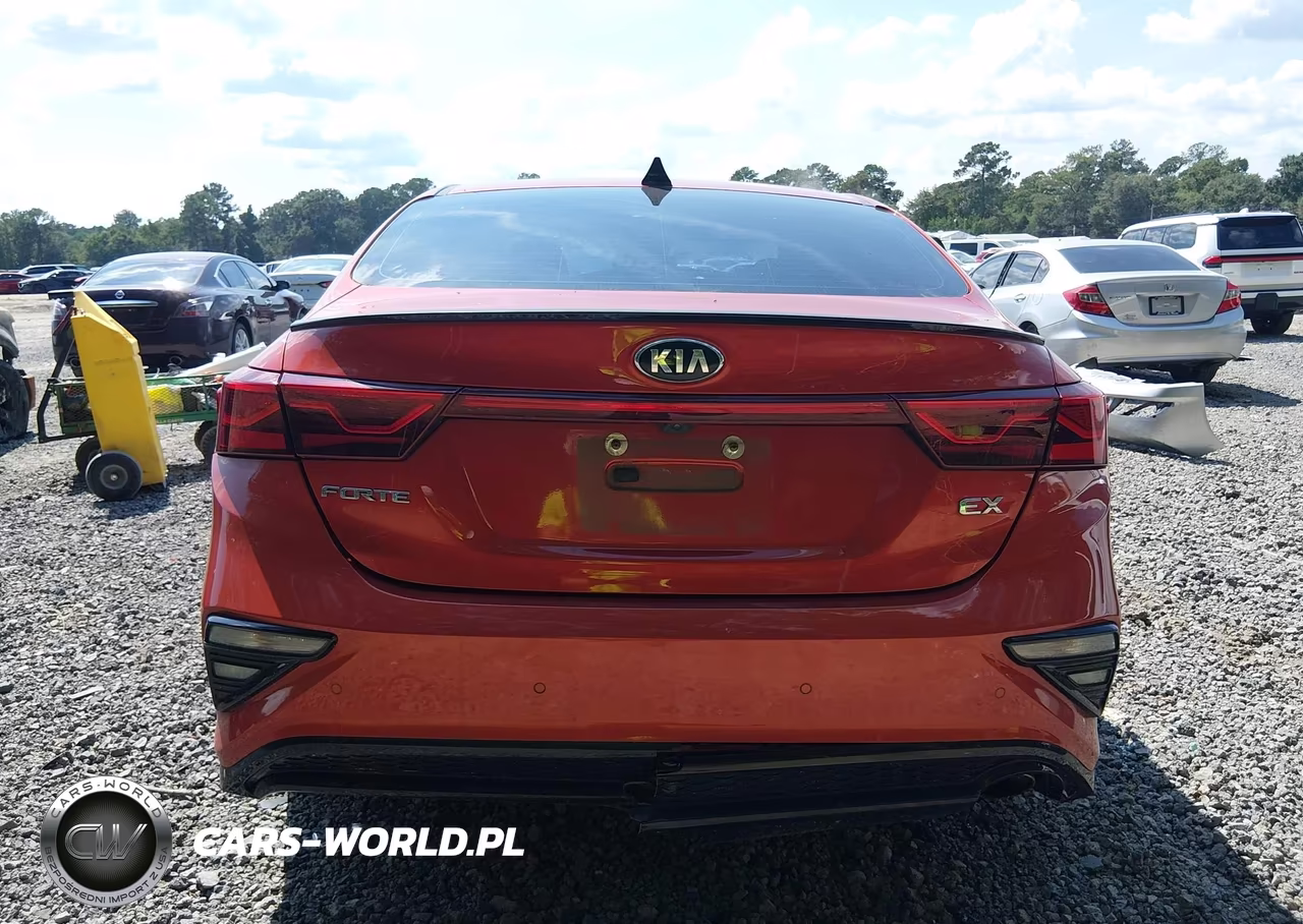 2019 Kia Forte Ex VIN:3KPF54AD8KE085698 - 17