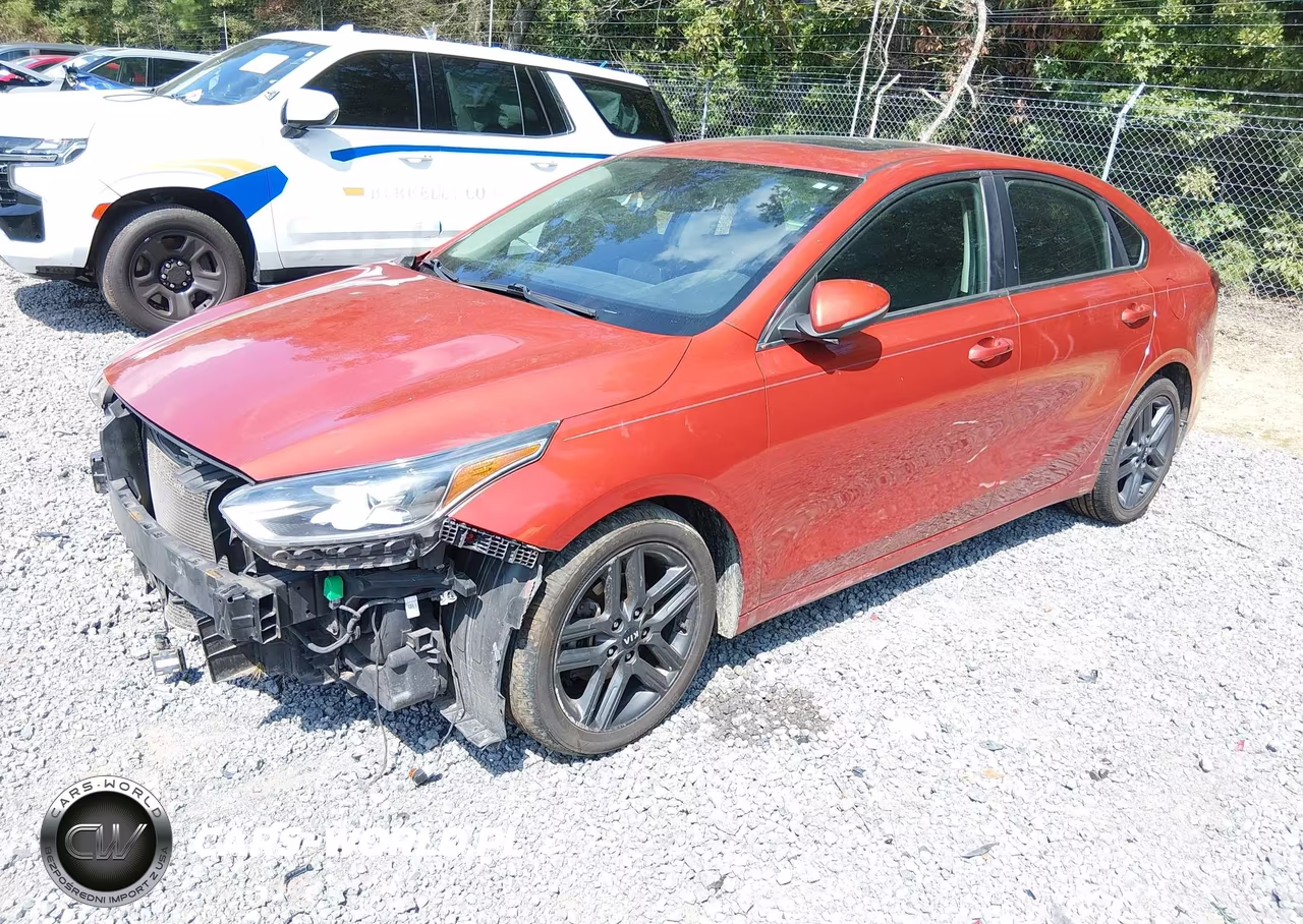 2019 Kia Forte Ex VIN:3KPF54AD8KE085698 - 2
