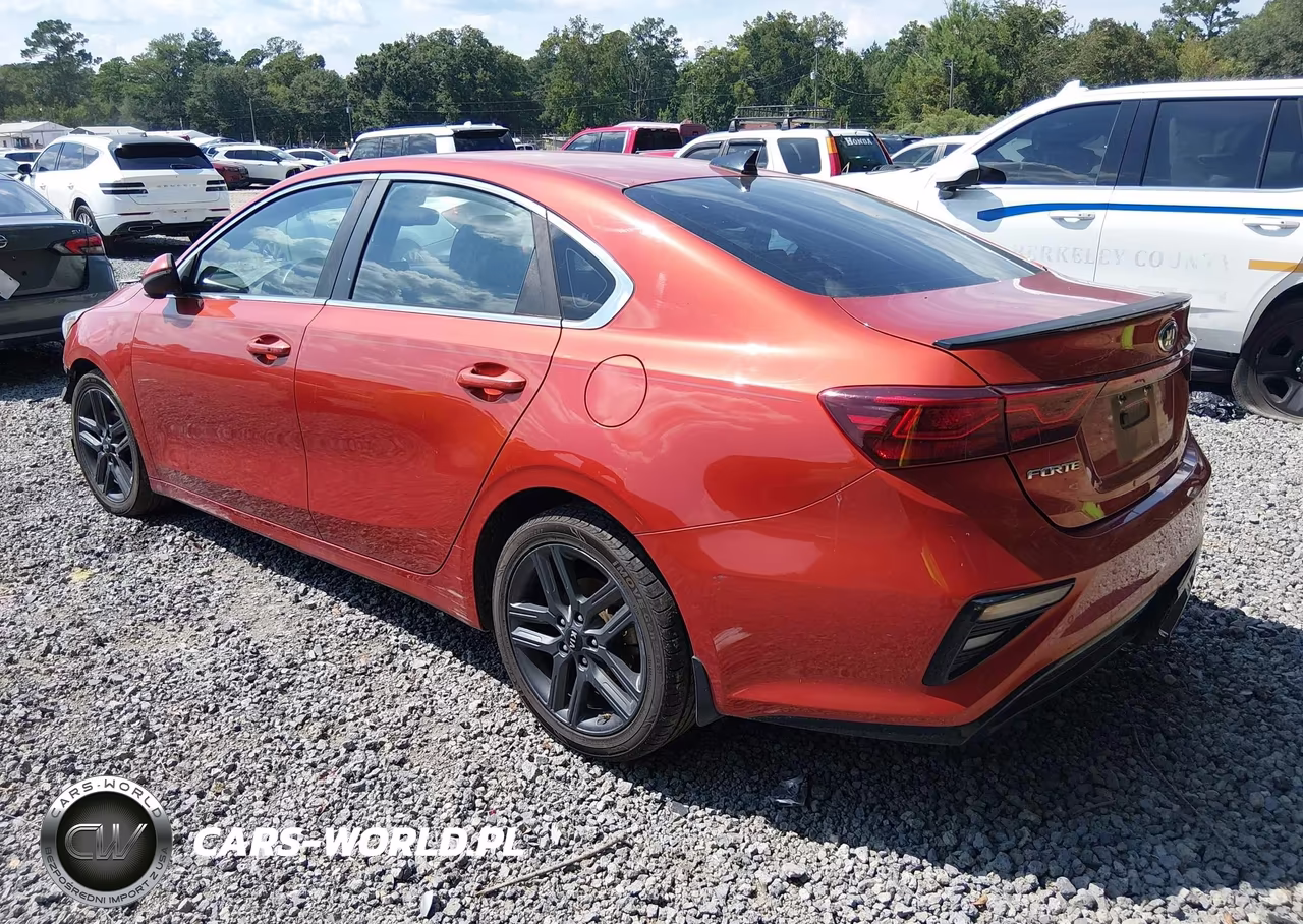 2019 Kia Forte Ex VIN:3KPF54AD8KE085698 - 3