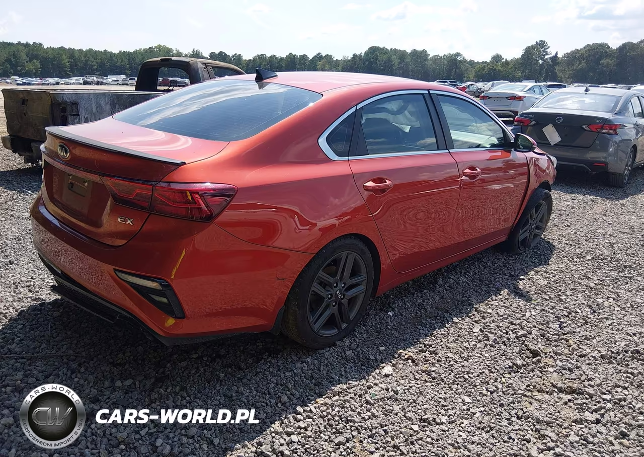 2019 Kia Forte Ex VIN:3KPF54AD8KE085698 - 4