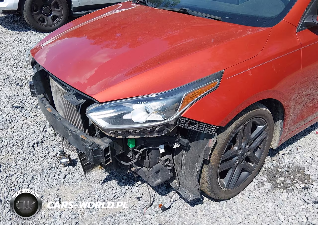 2019 Kia Forte Ex VIN:3KPF54AD8KE085698 - 6