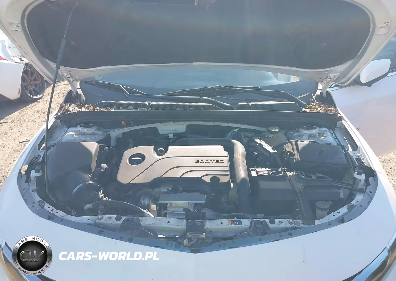 2019 CHEVROLET MALIBU LT VIN:1G1ZD5ST8KF159390 - 10