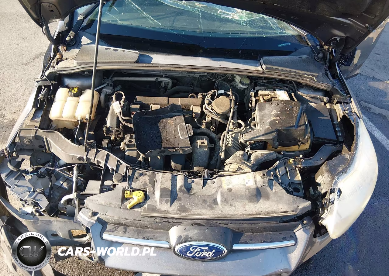2014 Ford Focus Se VIN:1FADP3K29EL373143 - 10
