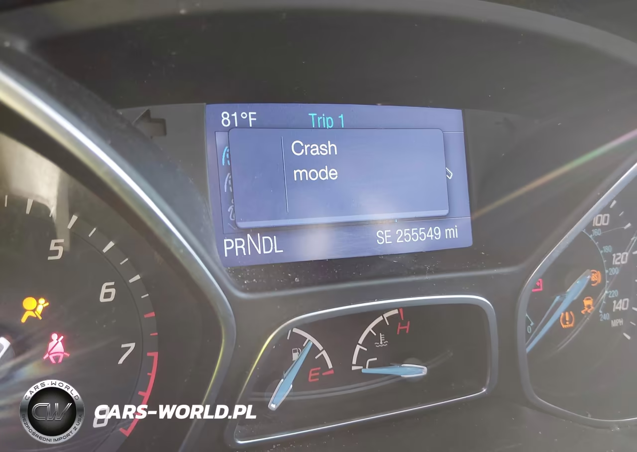 2014 Ford Focus Se VIN:1FADP3K29EL373143 - 13