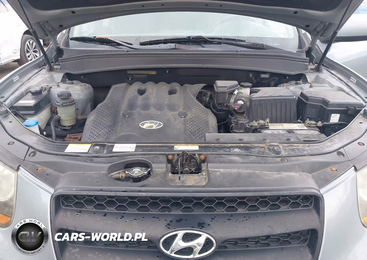 2008 Hyundai Santa Fe Gls VIN:5NMSG73D68H183542 - 10