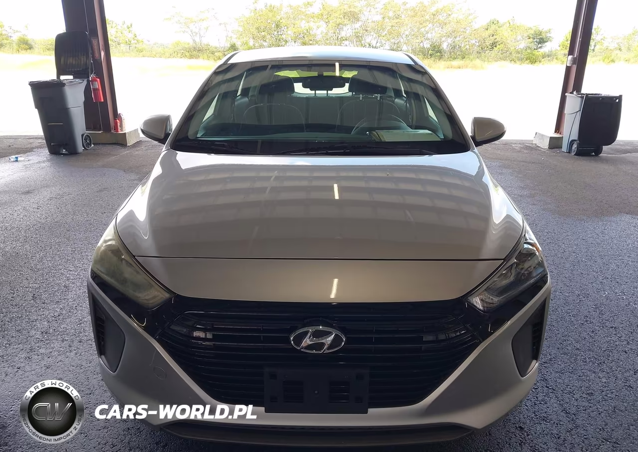 2019 Hyundai Ioniq Hybrid Blue VIN:KMHC65LC0KU158425 - 17