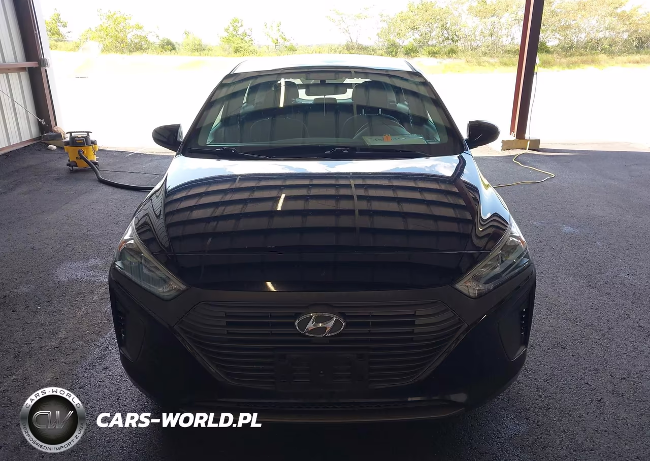 2019 Hyundai Ioniq Hybrid Blue VIN:KMHC65LC6KU155738 - 17