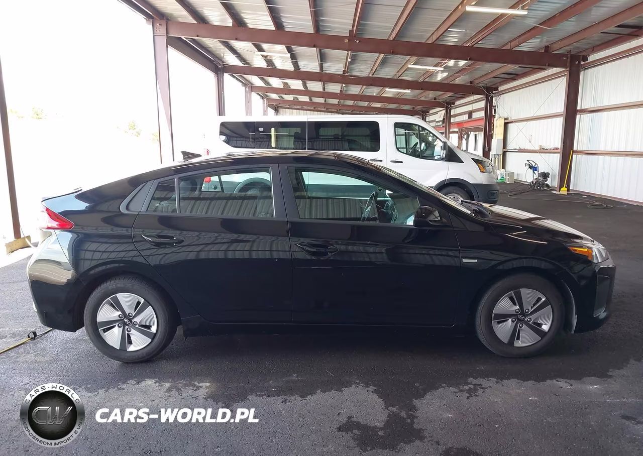 2019 Hyundai Ioniq Hybrid Blue VIN:KMHC65LC6KU155738 - 18
