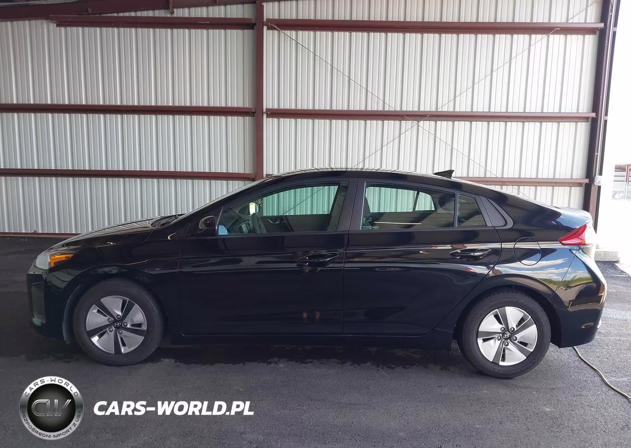 2019 Hyundai Ioniq Hybrid Blue VIN:KMHC65LC6KU155738 - 19
