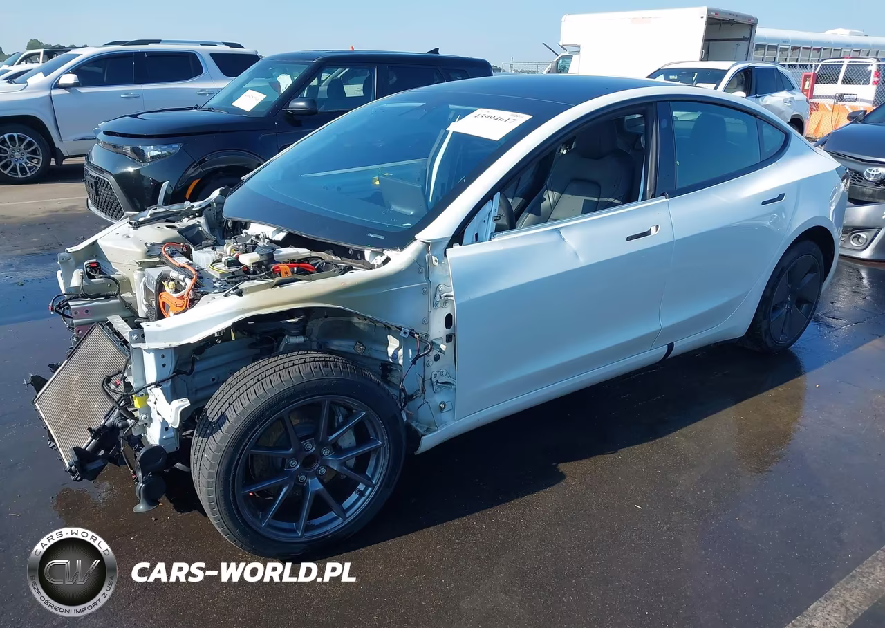 2023 Tesla Model 3 Rear-Wheel Drive VIN:5YJ3E1EA7PF584480 - 2