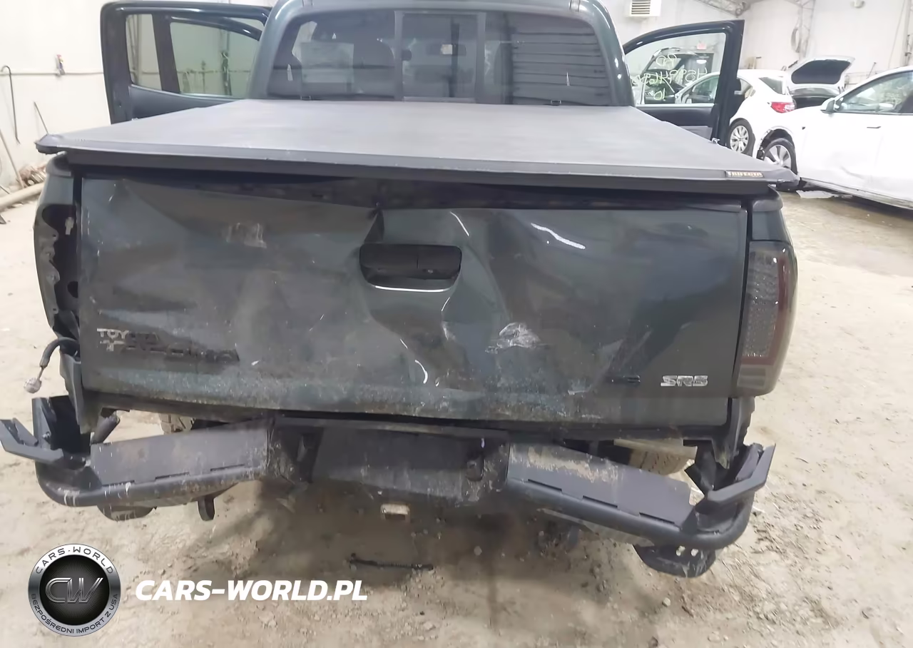2010 Toyota Tacoma Base V6 VIN:5TELU4EN1AZ699525 - 6