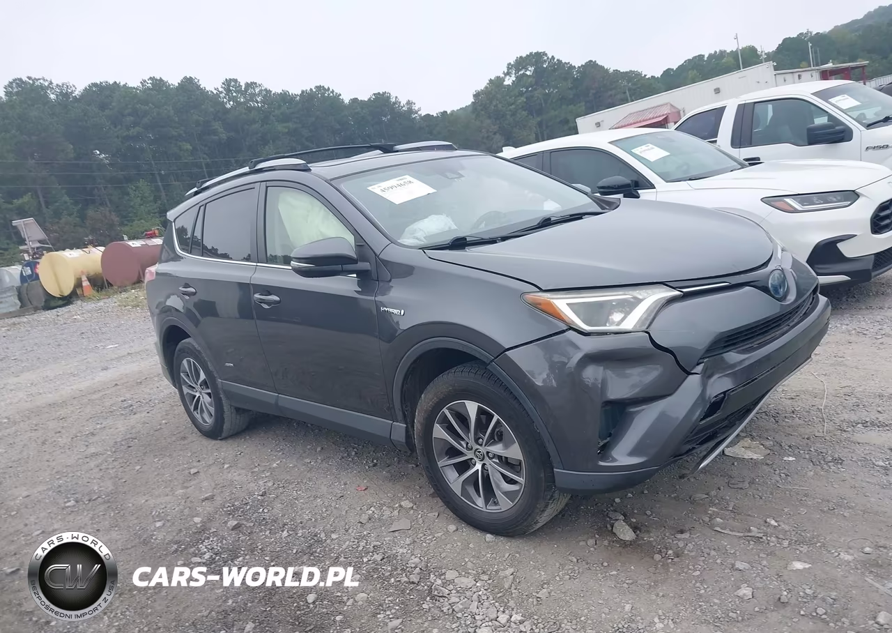 2017 Toyota Rav4 Hybrid Xle VIN:JTMRJREV0HD145508 - 13