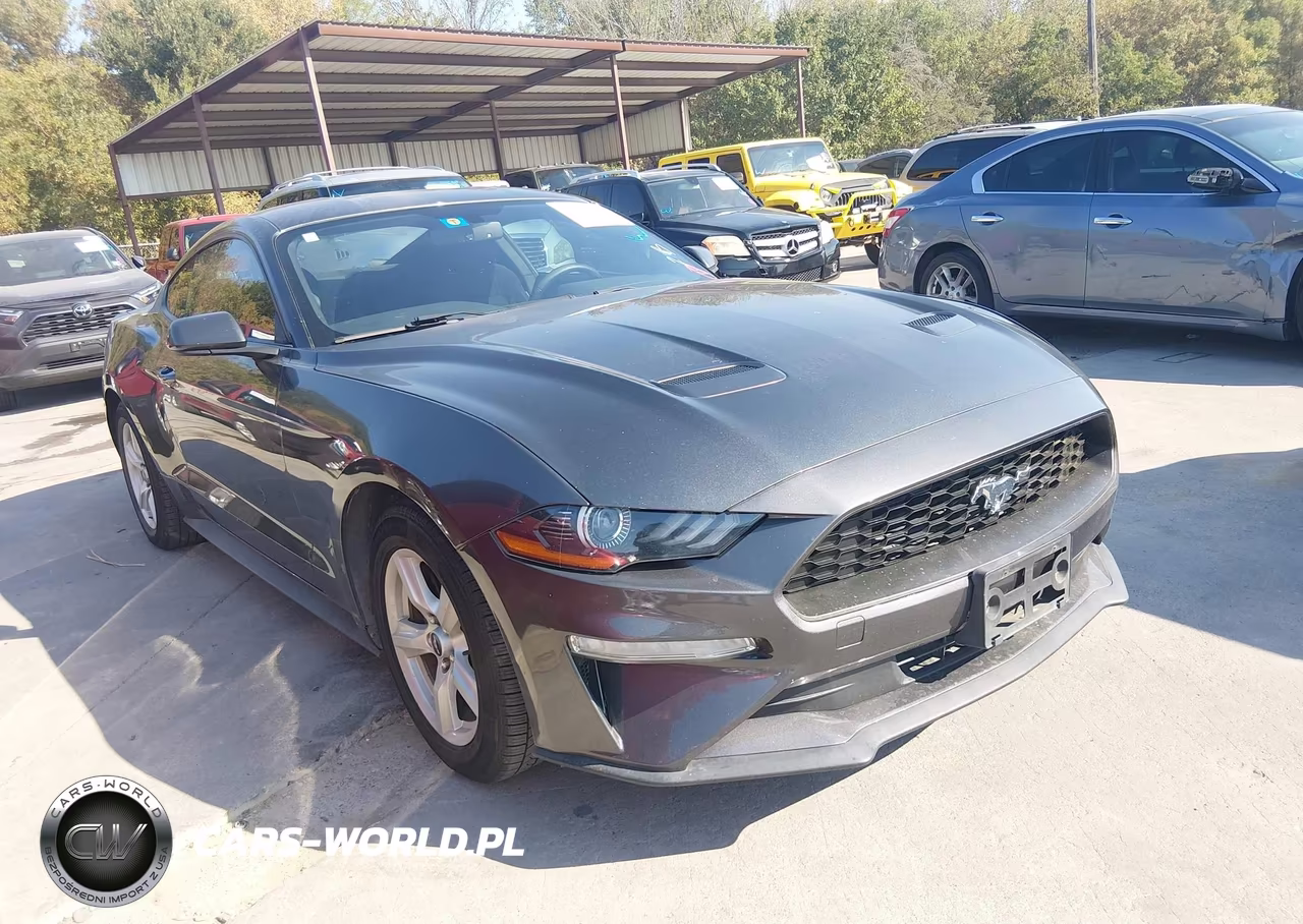 2019 Ford Mustang Ecoboost