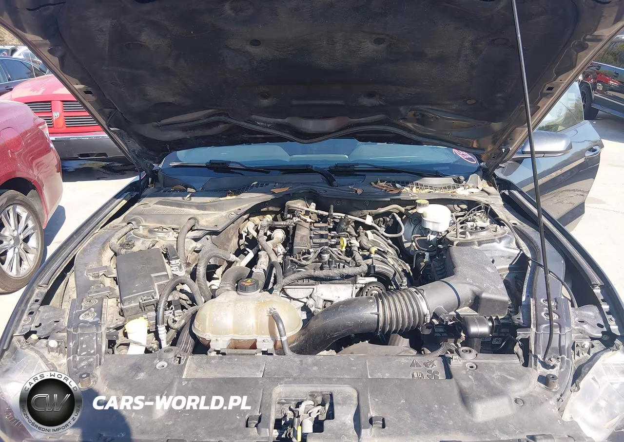 2019 Ford Mustang Ecoboost VIN:1FA6P8TH6K5178190 - 10