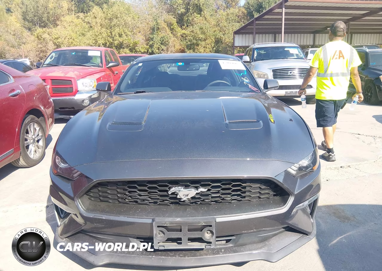 2019 Ford Mustang Ecoboost VIN:1FA6P8TH6K5178190 - 12