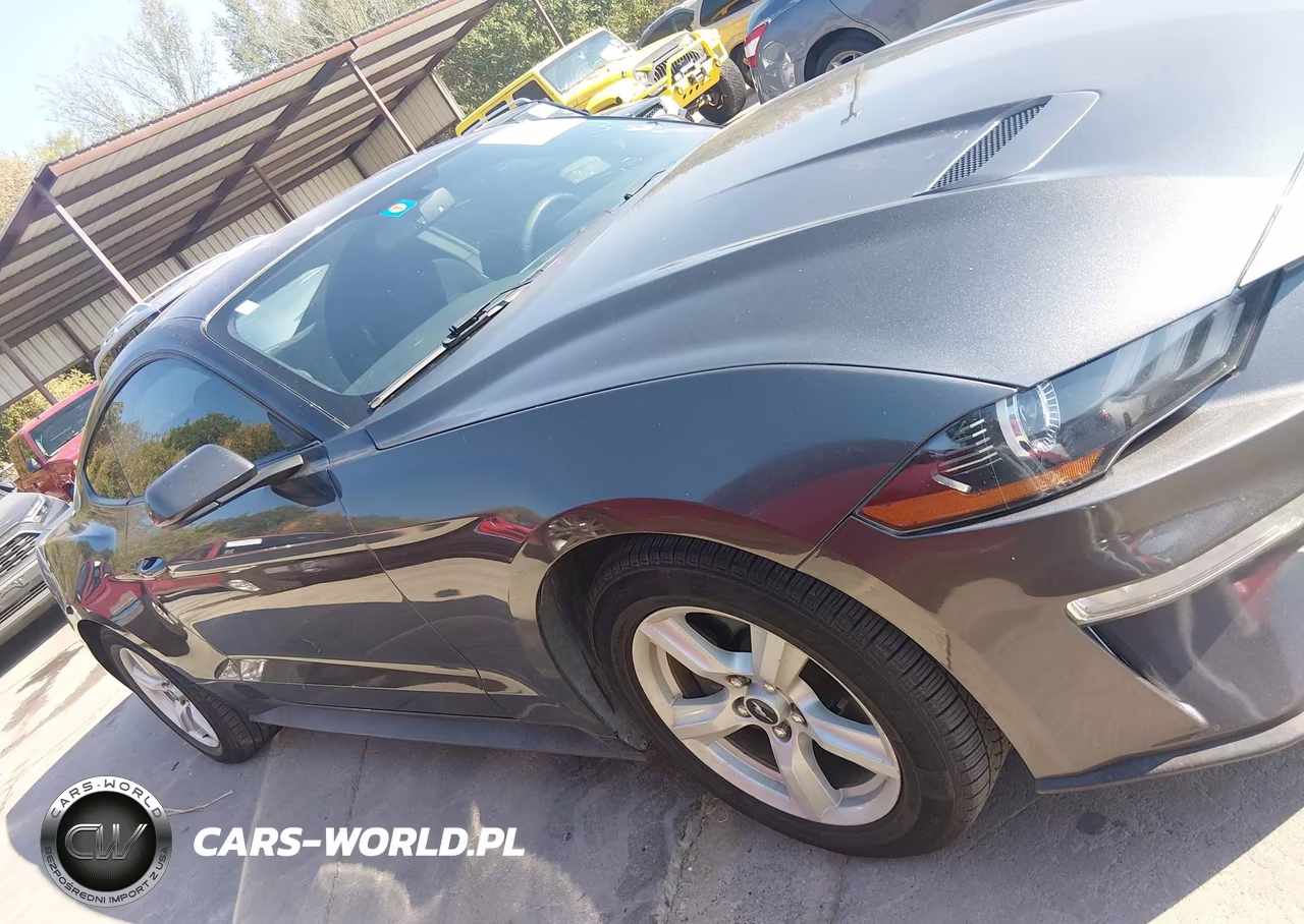 2019 Ford Mustang Ecoboost VIN:1FA6P8TH6K5178190 - 13