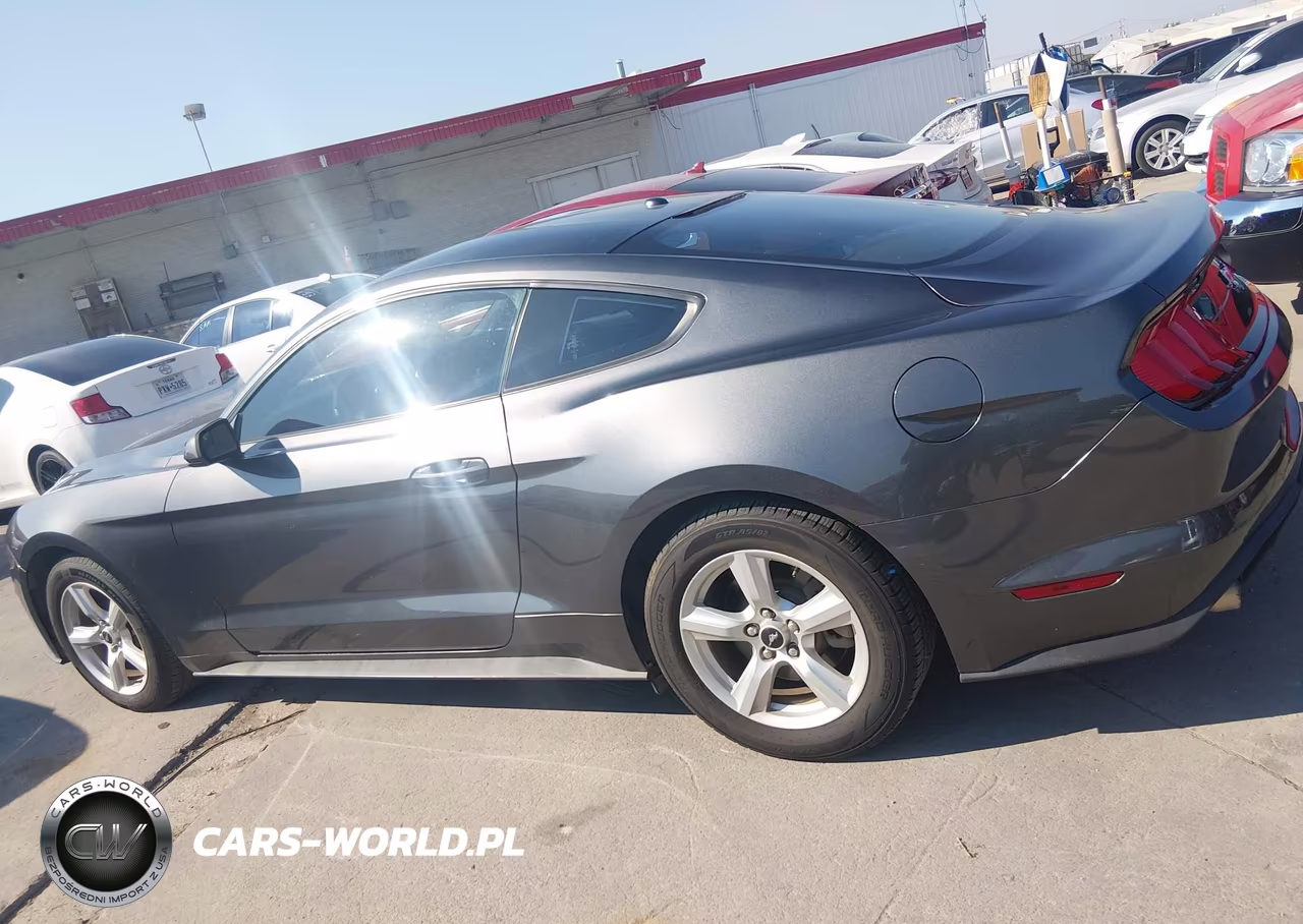 2019 Ford Mustang Ecoboost VIN:1FA6P8TH6K5178190 - 14