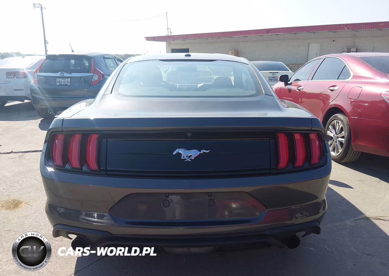 2019 Ford Mustang Ecoboost VIN:1FA6P8TH6K5178190 - 16