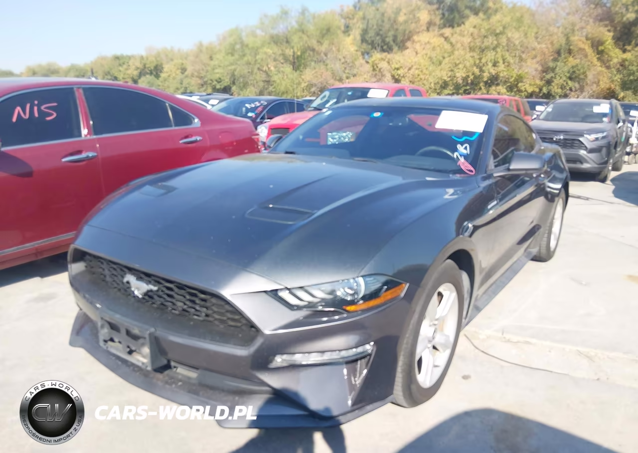 2019 Ford Mustang Ecoboost VIN:1FA6P8TH6K5178190 - 2