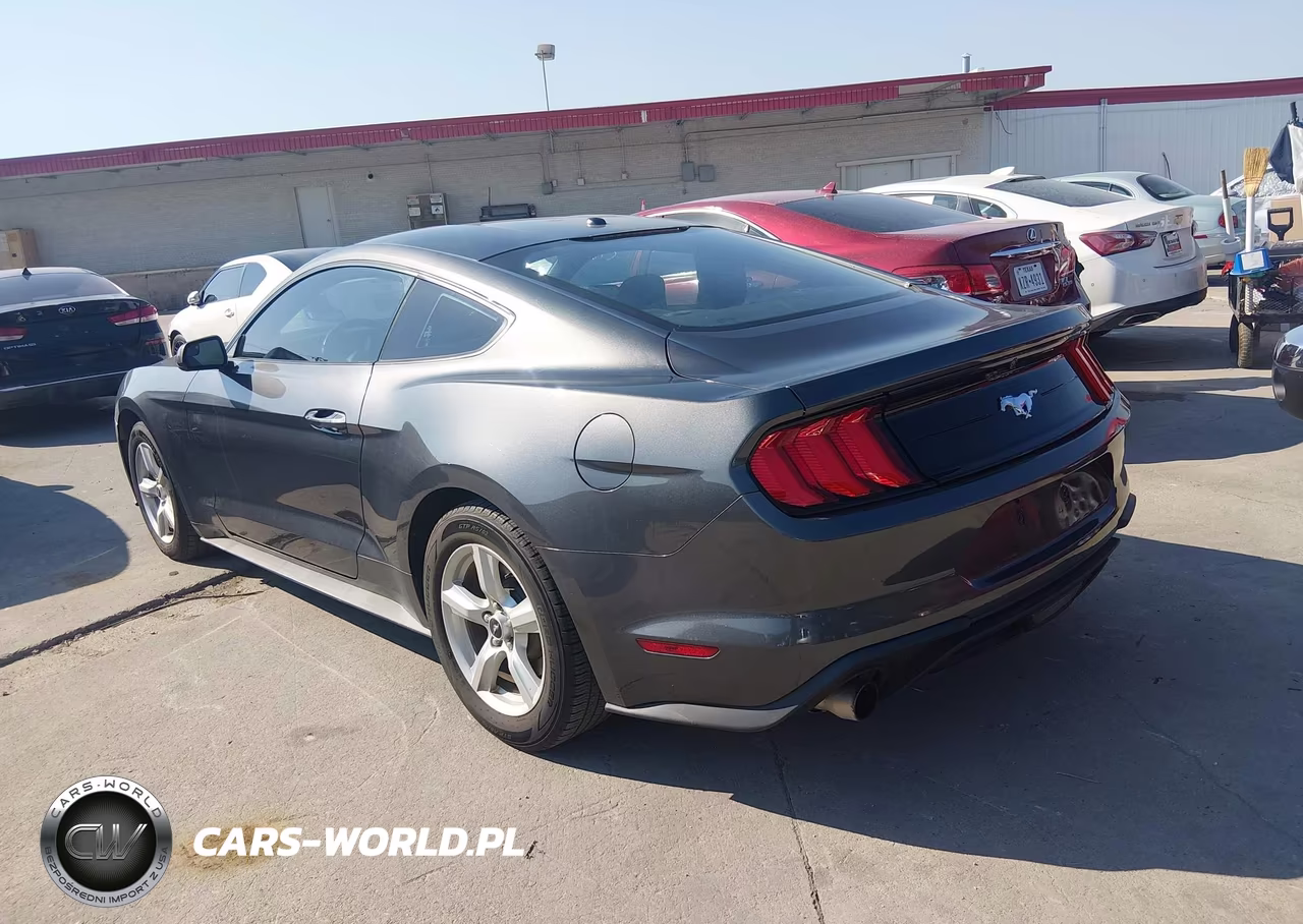 2019 Ford Mustang Ecoboost VIN:1FA6P8TH6K5178190 - 3