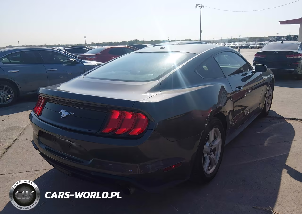 2019 Ford Mustang Ecoboost VIN:1FA6P8TH6K5178190 - 4