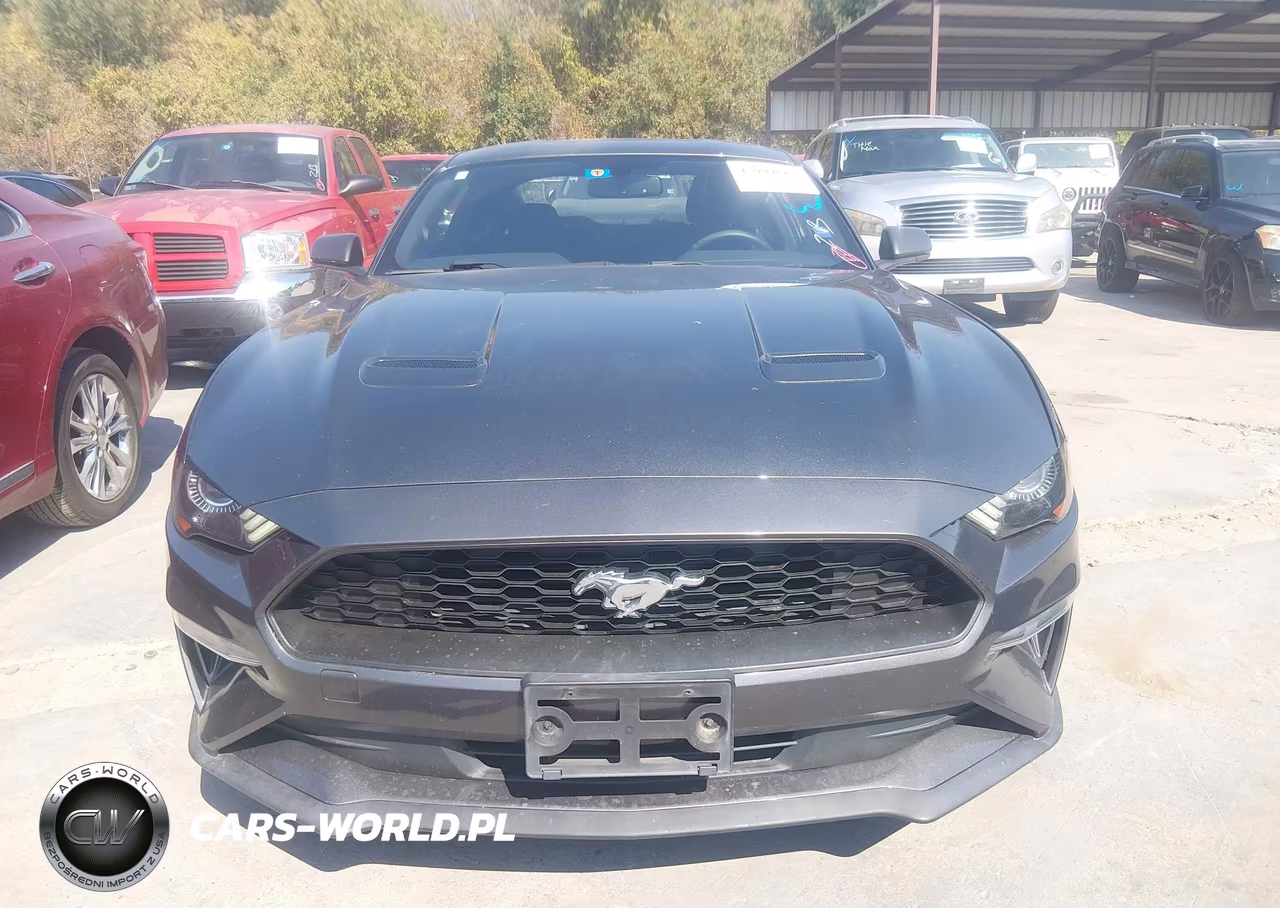2019 Ford Mustang Ecoboost VIN:1FA6P8TH6K5178190 - 6