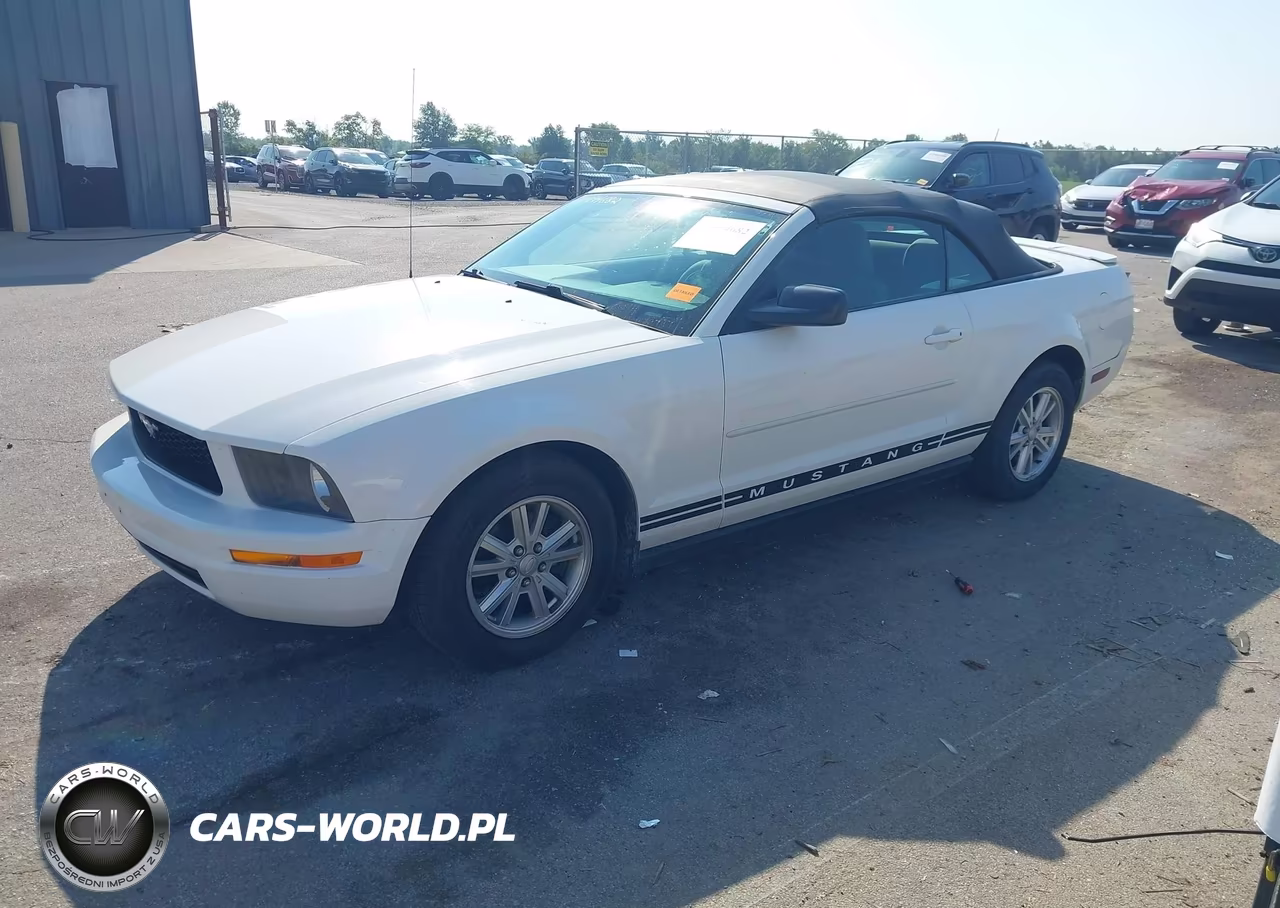 2008 Ford Mustang V6 Deluxe-V6 Premium VIN:1ZVHT84NX85155388 - 2