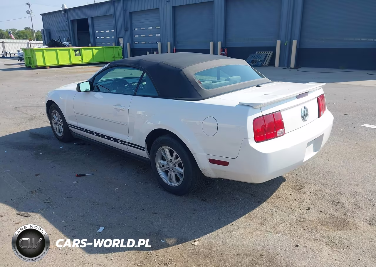 2008 Ford Mustang V6 Deluxe-V6 Premium VIN:1ZVHT84NX85155388 - 3