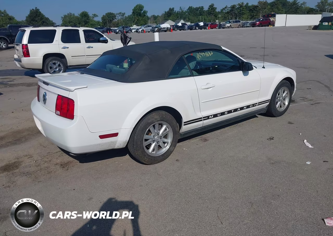 2008 Ford Mustang V6 Deluxe-V6 Premium VIN:1ZVHT84NX85155388 - 4