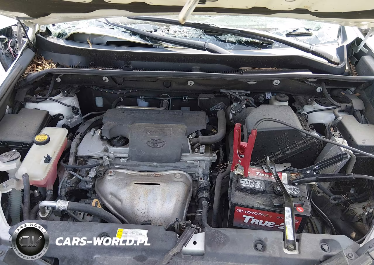 2017 Toyota Rav4 Xle VIN:2T3RFREV0HW623933 - 10