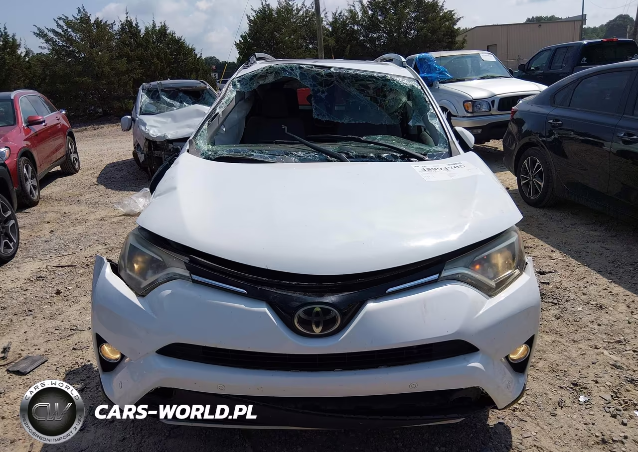 2017 Toyota Rav4 Xle VIN:2T3RFREV0HW623933 - 12