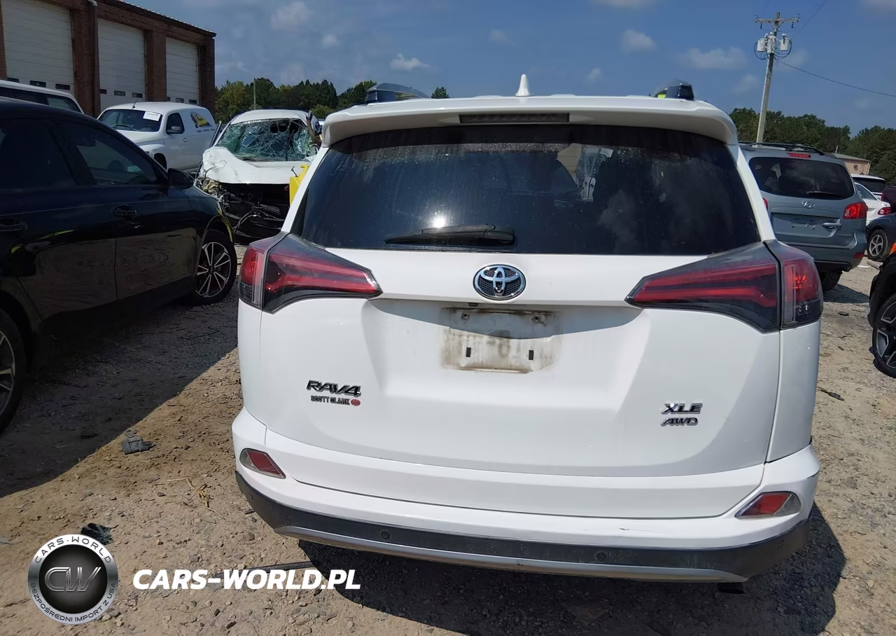 2017 Toyota Rav4 Xle VIN:2T3RFREV0HW623933 - 16