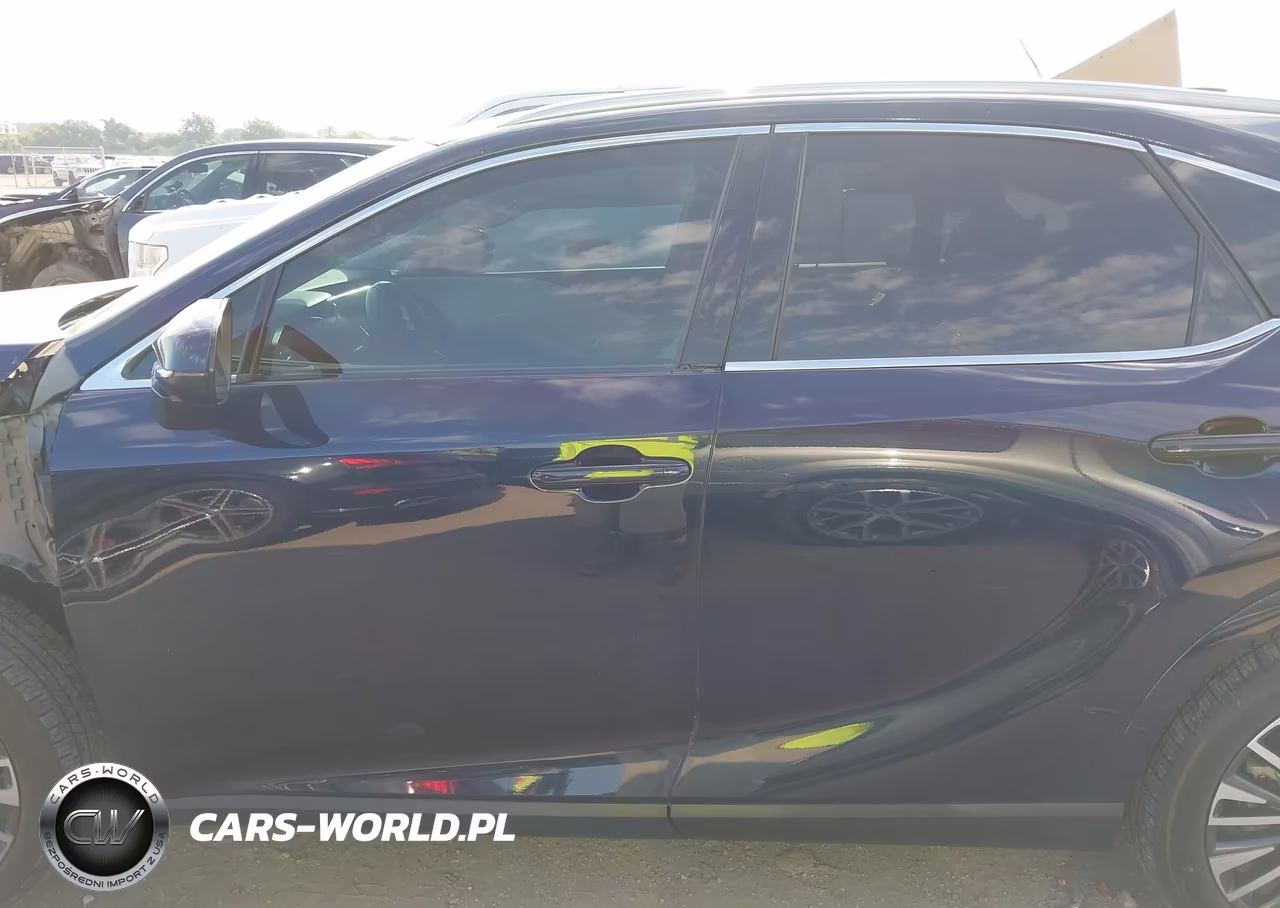 2023 Lexus Rx 350 Premium Plus VIN:2T2BAMBAXPC018519 - 15