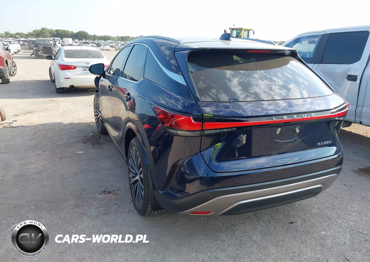 2023 Lexus Rx 350 Premium Plus VIN:2T2BAMBAXPC018519 - 3