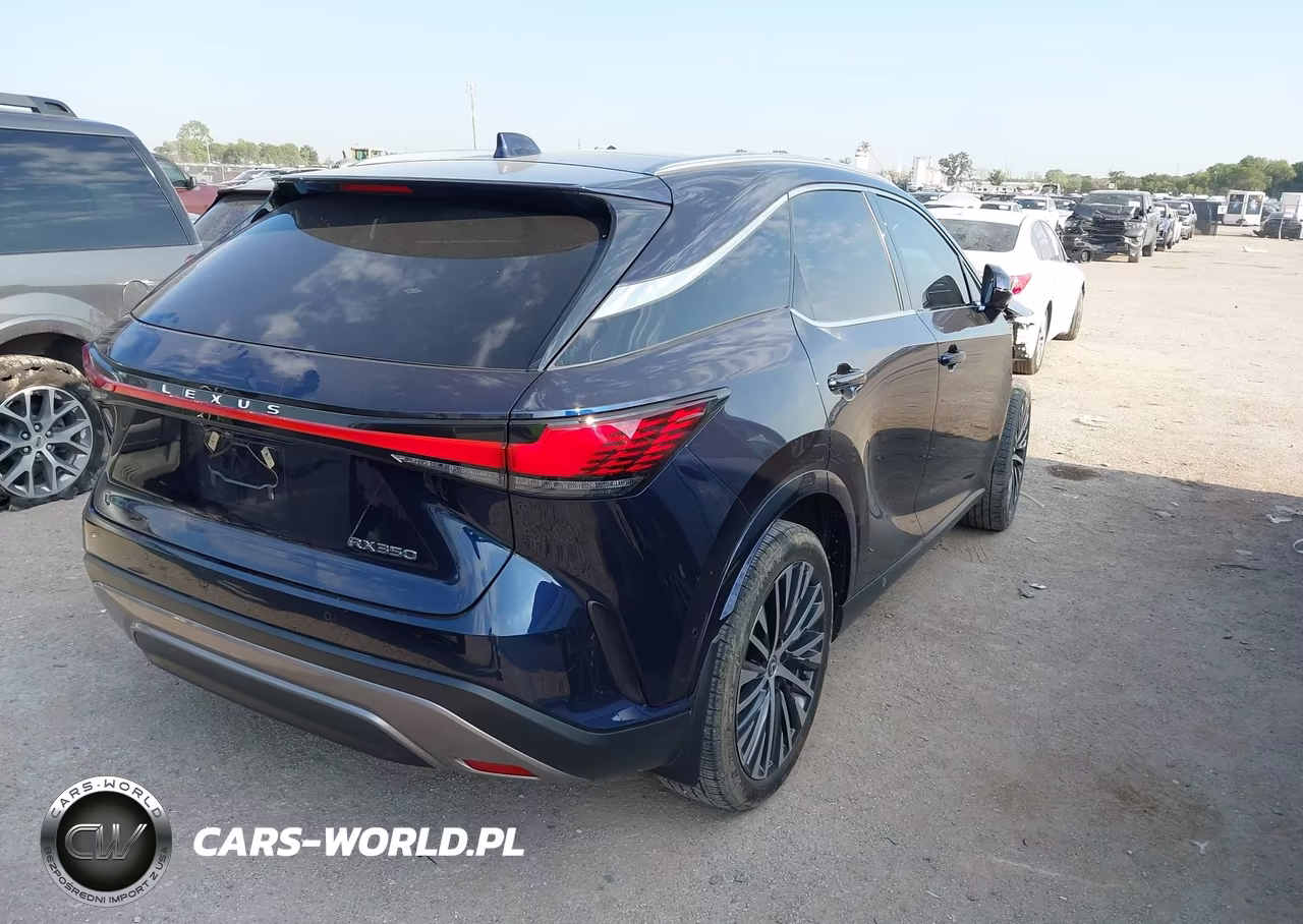 2023 Lexus Rx 350 Premium Plus VIN:2T2BAMBAXPC018519 - 4