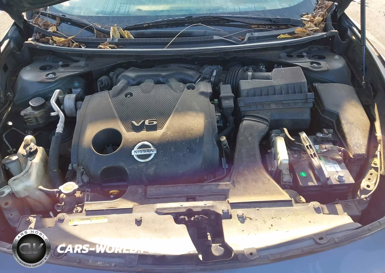 2009 Nissan Maxima 3.5 S VIN:1N4AA51E89C842210 - 10
