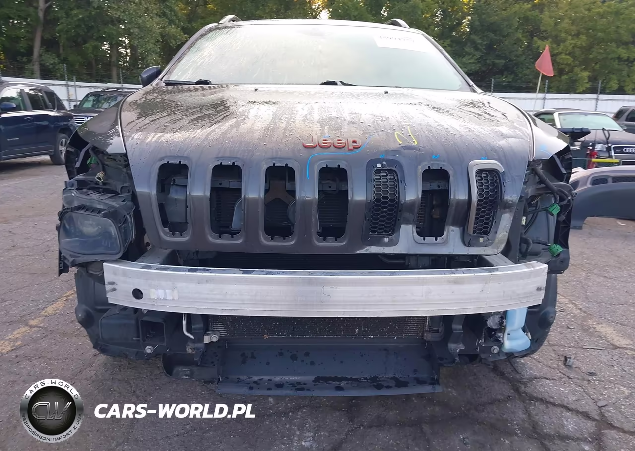 2017 Jeep Cherokee 75Th Anniversary Edition 4X4 VIN:1C4PJMCS7HW531964 - 17