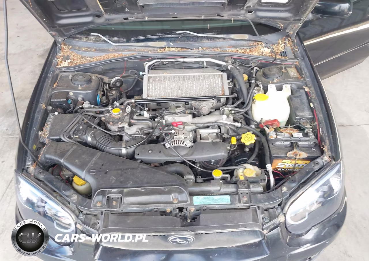 2004 Subaru Impreza Wrx VIN:JF1GG296X4H820774 - 10